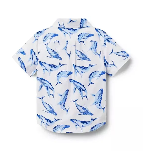 Janie and Jack Whale Poplin Shirt